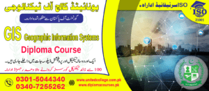 GIS COURSE