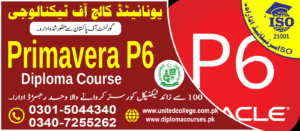 Primavera P6 Course