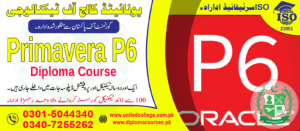 Primavera P6 Course